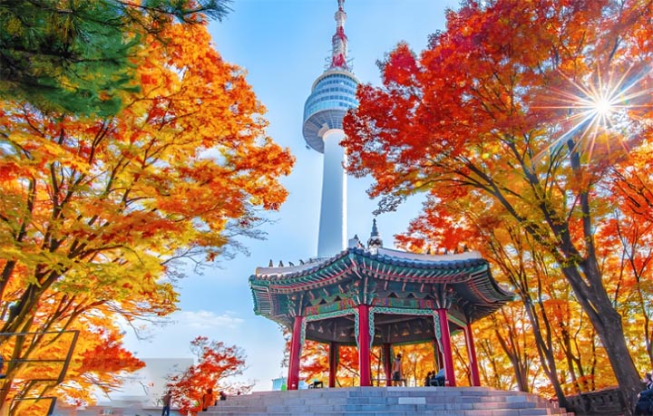 an autumn trip to korea