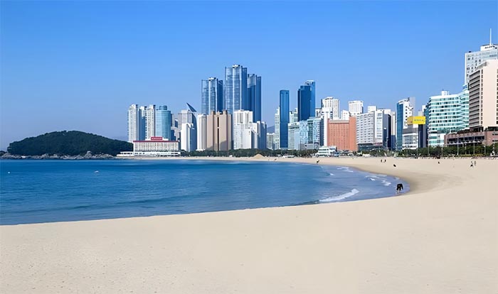 Korea Travel Itinerary for 7 Days: From Seoul City Lights to Coastal Calm 2 haeundae in busan