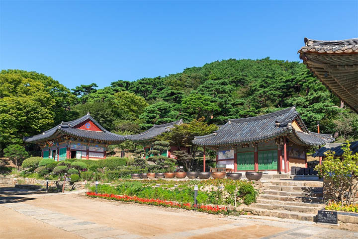 Beyond the Palaces: Why Visiting Korean Temples is Your Ultimate Chill Pill 1 korean temple