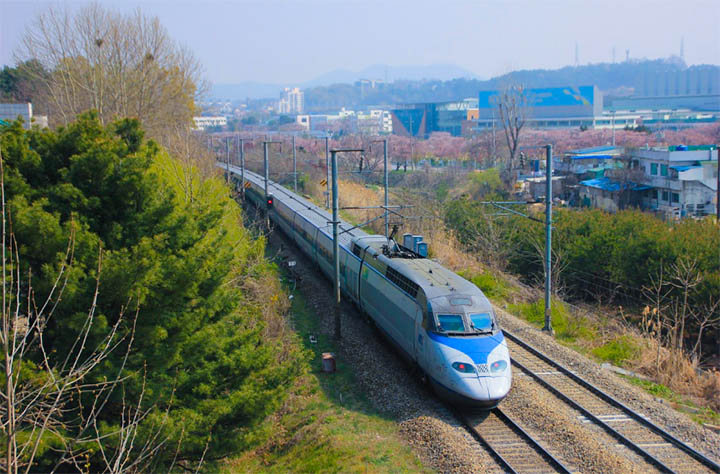 How to Ride a KTX Train in Korea A Simple Local Guide for First Time Travelers 1