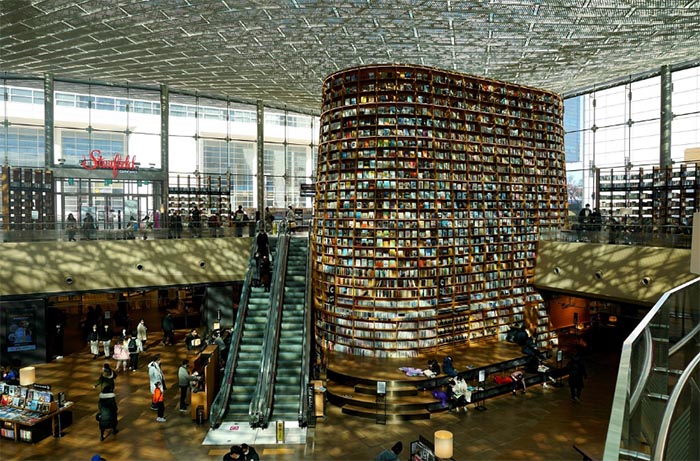 Walk the Scene: Must-Visit K-Drama Filming Locations in Seoul 4 seoul coex library