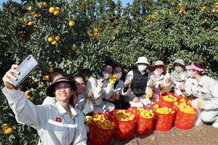 korean seasonal worker program